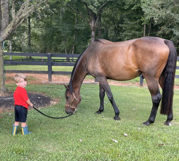 20220911_215150216_iOS