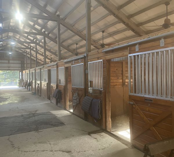 20231018_140133308_iOS